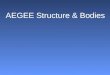 Structure Of AEGEE