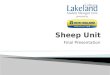 SMF Sheep Team Final Presentation April 2013