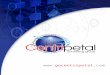 Centripetal Consulting Group - Experts in the Flavors of HR Outsourcing