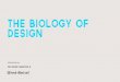 The Biology of Design: How Human Biology Influences Design