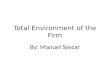 Total environment of the firm 2