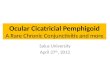 Ocular cicatricial pemphigoid [1] 4th year pco rotation