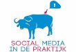 Social Media Praktijk 2011