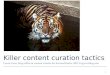 Killer Content Curation Strategies