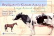 Spurgeon's Color Atlas of Large Animal Anatomy the Essentials