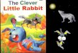 The Clever Little Rabbit