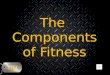 1. components of fitness