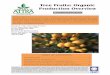 Tree Fruits: Organic Production Overview