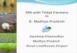 0943 SRI with Tribal Farmers in E. Madhya Pradesh