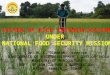 0947 System of Rice Intensification  (SRI) under National Food Security Mission