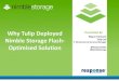 IP Expo 2012 Storage Lab Presentation - Tulip Ltd
