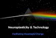 Neuroplasticity and Technology