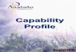 Ai Capability Profile August 2010