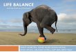 Life Balance: Importance and Approach