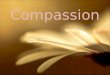 Compassion 1