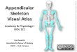 Appendicular Skeleton Anatomy Visual Guide