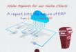 A report into the future of erp part 2 of 3 aej