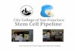 Surf stem cell pipeline