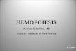 Hematopoiesis - University of Medicine and Dentistry of New 