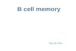 B Cell Memory Tae Jin Kim