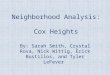 Neighborhood Analysis, Cox Meadows