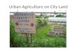Lunch & learn Urban Agriculture