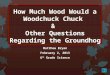How Much Wood Can A Woodchuck Chuck & Other Questions Regarding the Groundhog