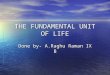 The Fundamental Unit of Life