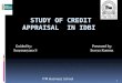 37042923 Credit Appraisal Techniques Od Idbi