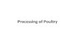 Processing of Poultry