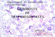 Diagnosis of Trypanosomiasis