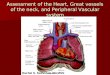Heart & Neck Vessel & Peripheral Vascular Assessment
