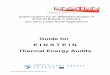 EINSTEIN Audit Guide 2.0 Preliminary Version