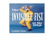 Invisible Fist of the Ninja - Ashida Kim