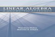 Ted Shifrin, Malcolm Adams-Linear Algebra. A Geometric Approach