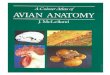 A Colour Atlas of Avian Anatomy - J. McLelland