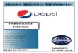 63013115 Pepsi Hr Functions