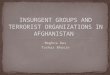 Insurgent Groups and Terrorist Organizations in Afghanistan