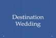 Puerto Vallarta Wedding Options