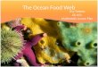 Ocean Food Web - ASSURE lesson plan