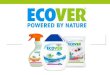 Ecover Green Digital Marketing Strategy