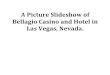 Greg Roselli - Picture Slideshow of Bellagio Casino and Hotel in Las Vegas