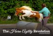 Horse agility revolution