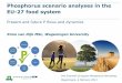Phosphorus scenario analyses in the EU-27 food system - Kimo van Dijk