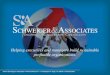 Schweiger & Associates - Overview