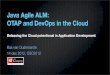 Java Agile ALM: OTAP and DevOps in the Cloud