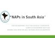 NAPs in South Asia