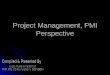 Project Management, Pmi Perspective