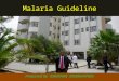 Malaria guideline