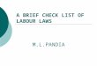 Labour Laws 119[1]